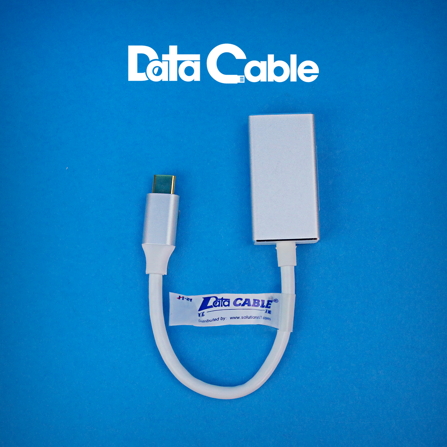 Type C to Display Port (F) Adapter