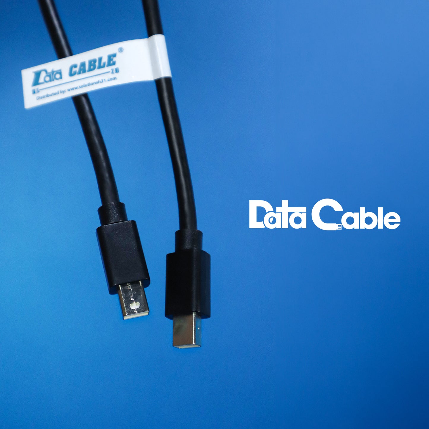 Mini Display Port M/M Cable