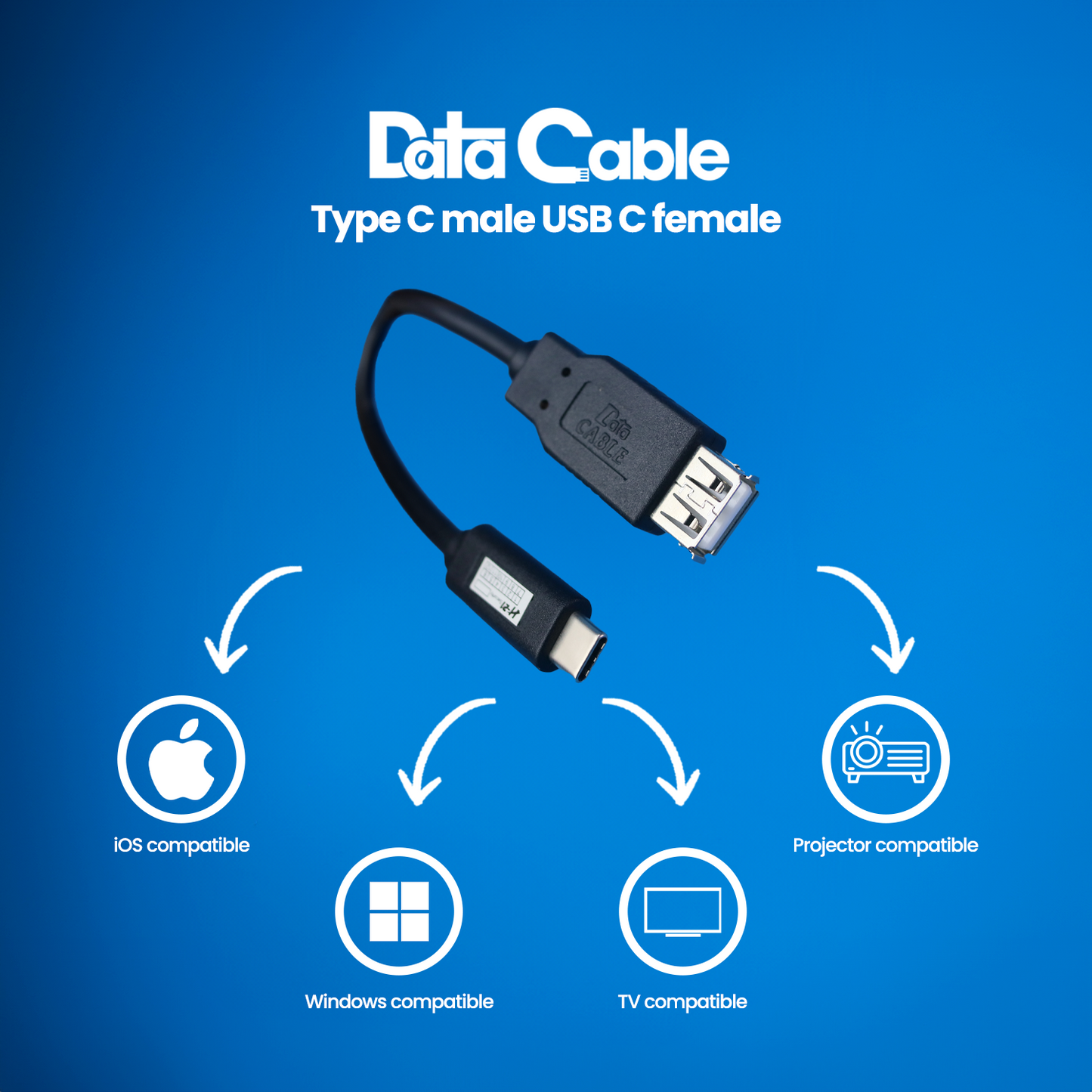 Type C (M) to USB C (F) Adapter